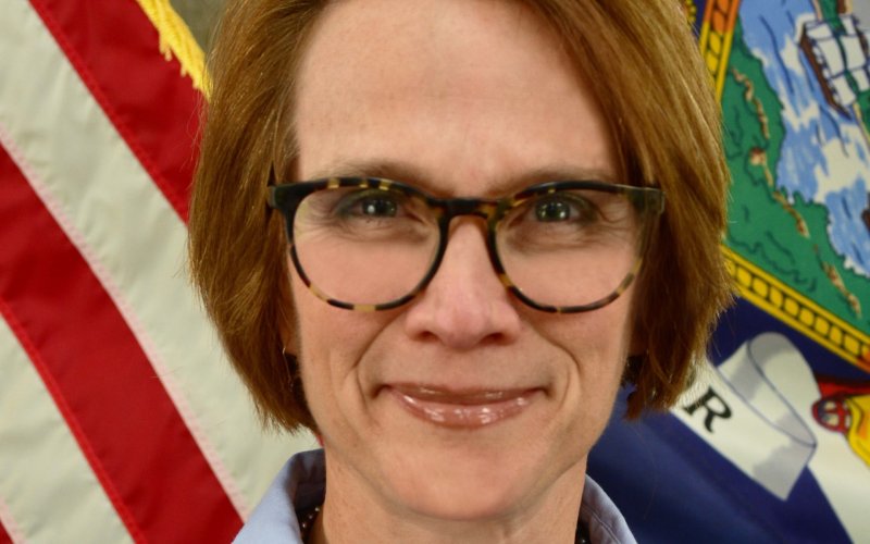 Dana Rosenstreich, Deputy Commissioner for Technology, Justice Center, Office for the Aging New York State Office of Information Technology Services