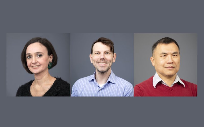 Professors Scimemi, Valm, and Wang