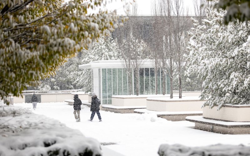 Fresh snow is falling as on buildings and trees as 3 students walk across a snow covered campus at UAlbany