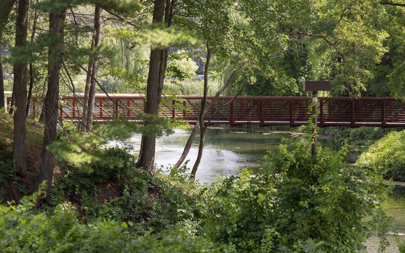 Indian Pond Greenery