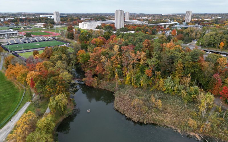 UAlbany campus in the fall, with red, orange and yellow leaves on the trees near Parker Pond.