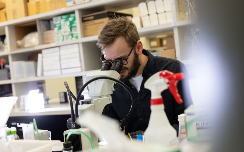 A man sits behind a lab bench peering into a white microscope.