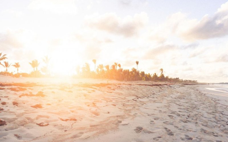 Sunlight flares over a tropical beach with palm trees and footprints.