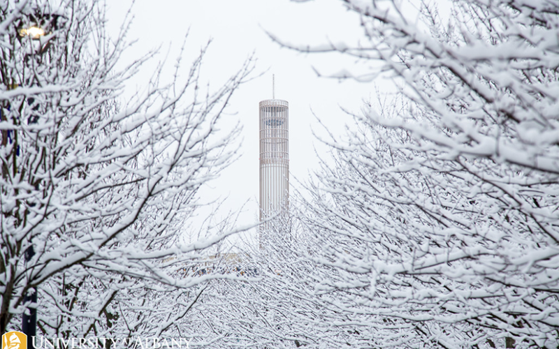 An image of the Carillon on a snowy day, surrounded by frosty trees.