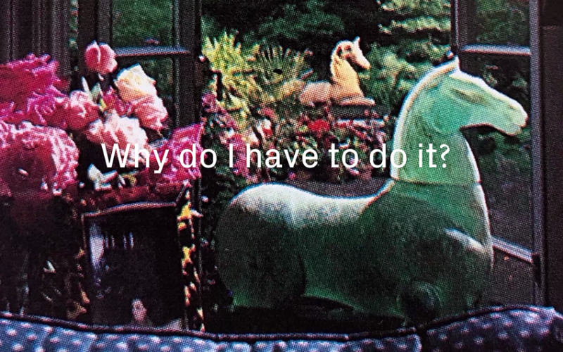 A green figure of a horse sits with some flowers, plants and another smaller horse figure. Text across the image reads "Why do I have to do it?"