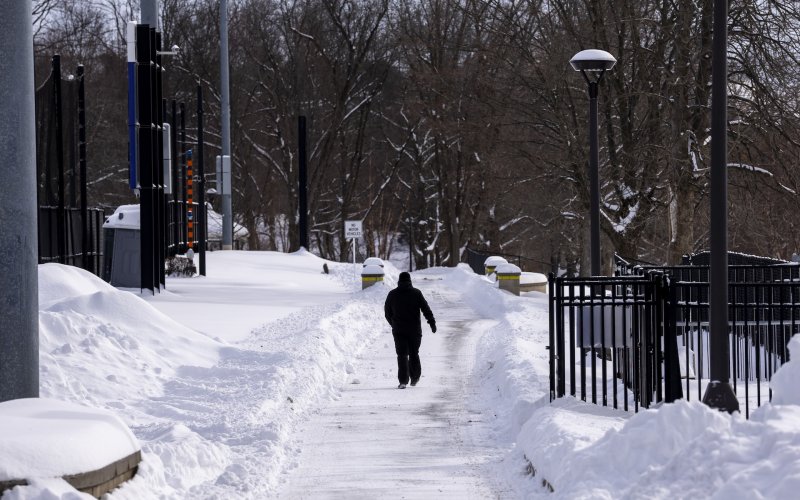 a lone person dressed head to toe in black winter gear walks down a snowy sidewalk on UAlbany's campus.