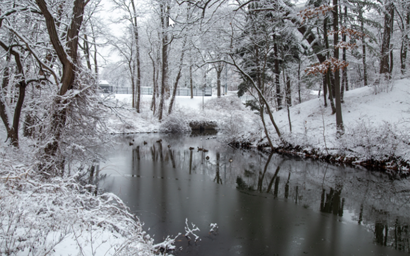UAlbany campus in the snow.