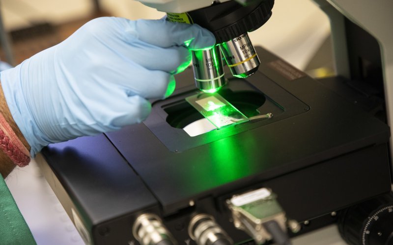 A researcher wearing a blue glove shines a green laser on a sample to measure its chemical composition and structure.