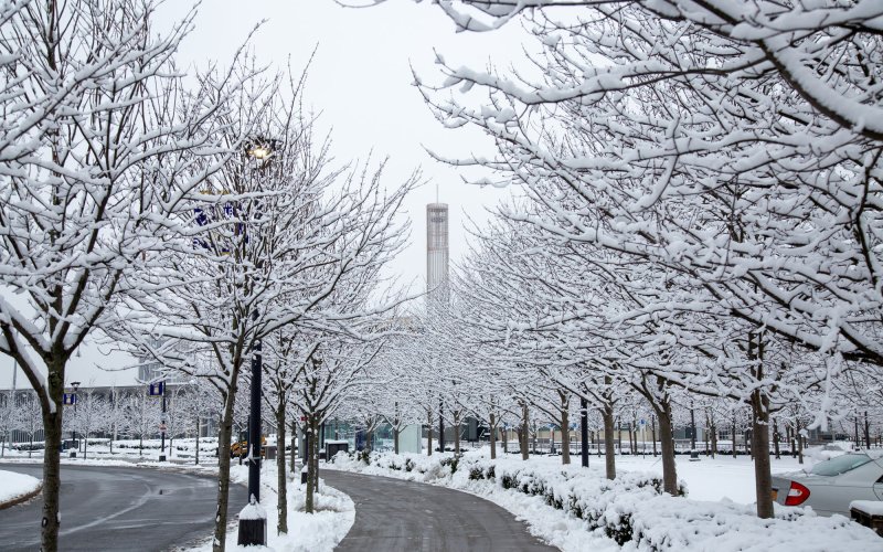 The Uptown Campus covered in snow, with the carillon visible through snow-covered trees and above freshly cleared walkways.