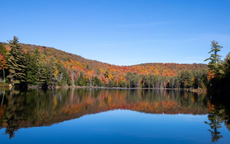 photograph of Dippikill retreat