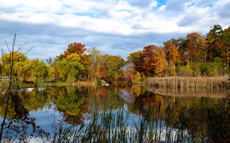 Fall foliage reflects in Parker Pond on UAlbany's Uptown Campus.