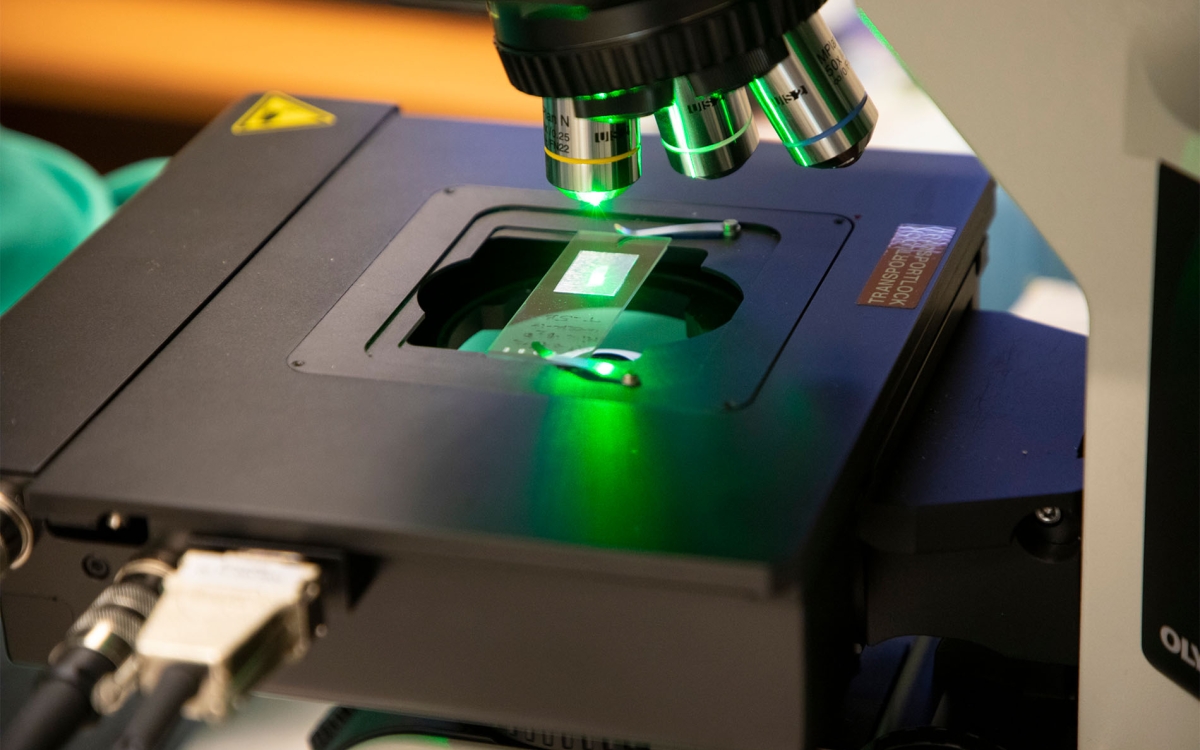 A green laser light shines on a sample to measure the scattered radiation. 