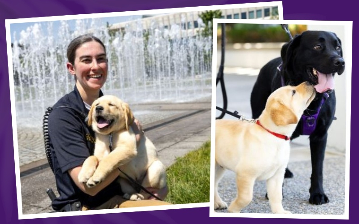 UPD's newest therapy dog, Remy, with his partner, Officer Alicia Constance.