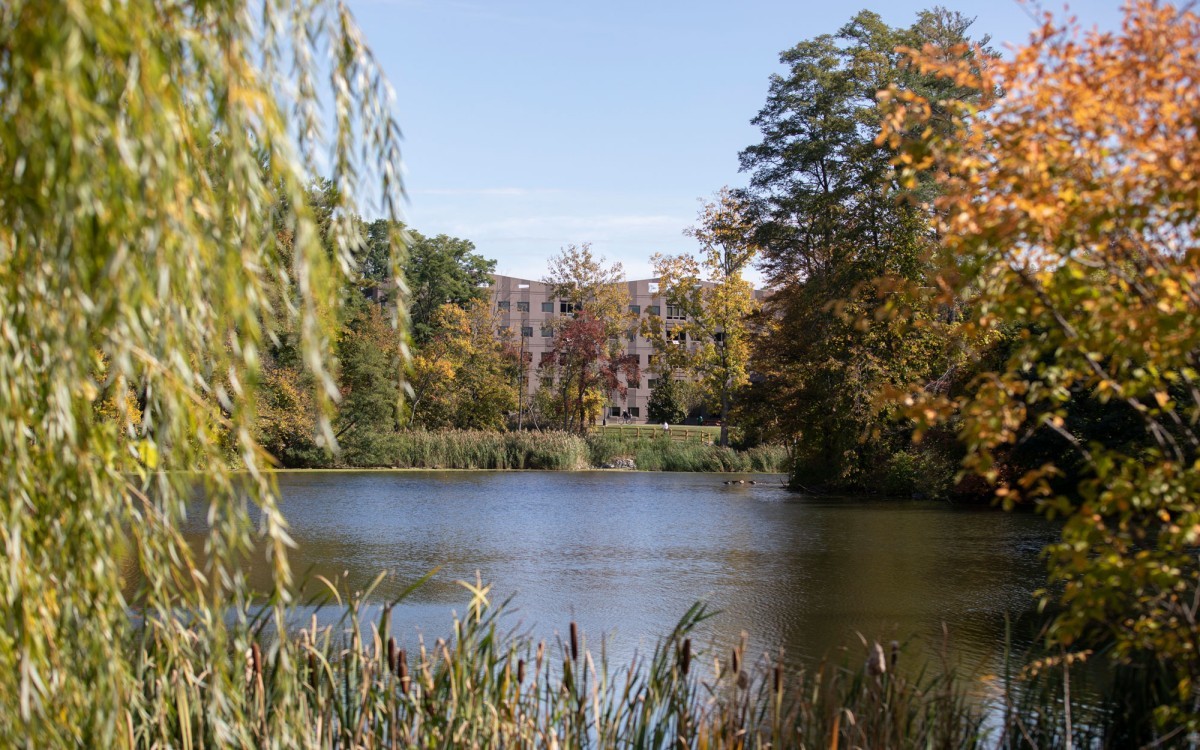 Parker Pond on a sunny, blue sky day.