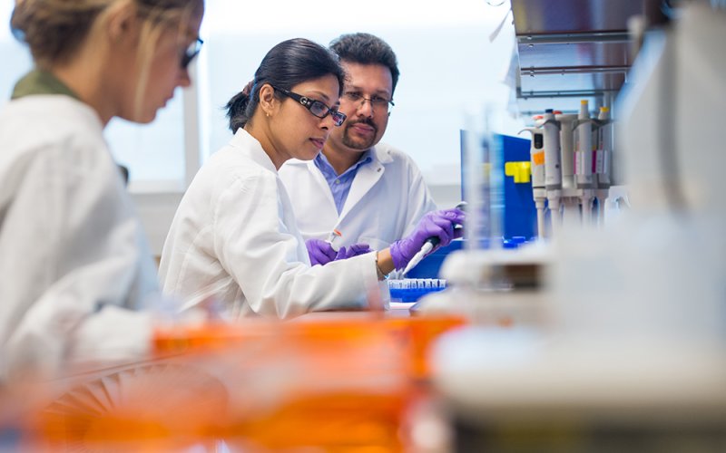 Bijan Dey, at right, works pre-2020 in his lab with an RNA researcher and, at left, a student.