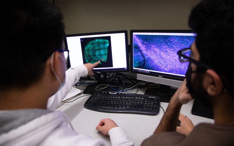 Two students look at a pair of monitors. The student on the left is pointing at the left monitor, which is showing a teal and black display of neuroscience research.