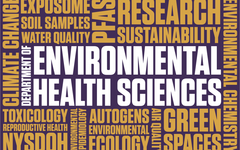 On a purple background, the words "Department of Environmental Health Sciences" are written in white bold text. Around the white is a word cloud of yellow words related to department research: PFAS, Autogens, Sustainability, Green Space, Soil Samples, Air Quality, Water Quality.