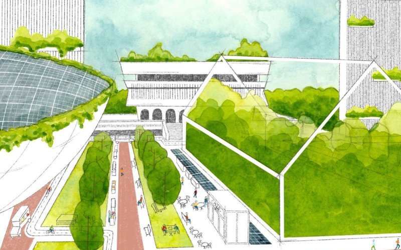 Drawing by Cara Hanley shows green roofs and a greenhouse at the Empire State Plaza