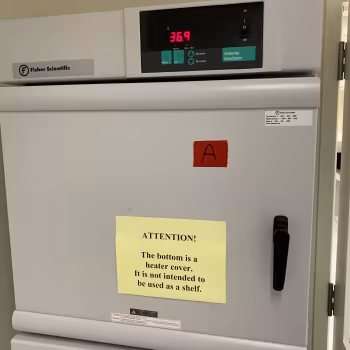 Fisher Isotemp Incubator