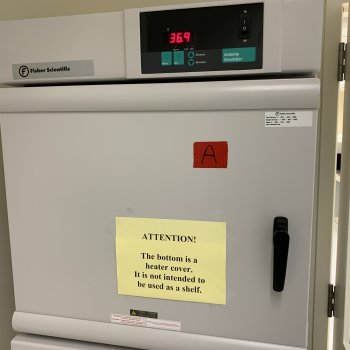 Fisher Isotemp Incubator