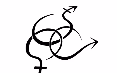 Women's, Gender, and Sexuality Studies