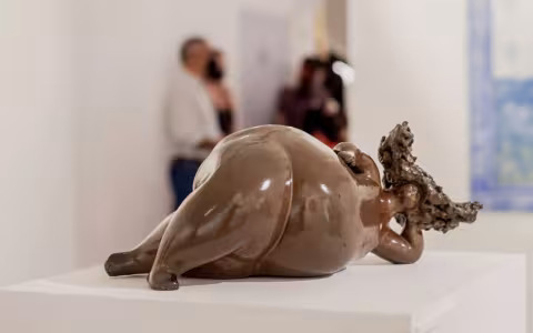 Keeping Seeds in the Hair Exhibition piece