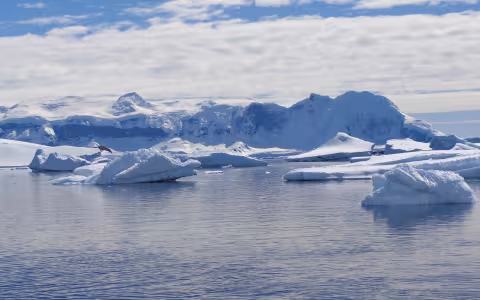 Melting icebergs in the Arctic Ocean.