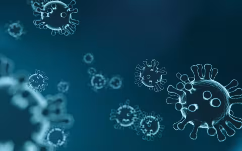 Image of COVID-19 virus as it would appear under a microscope. Image is primarily tones of blue with virus outlines highlighted in white. 