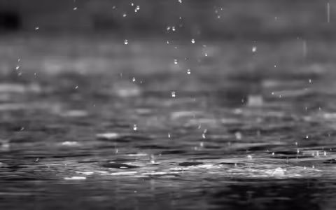 Rain drops into a puddle.