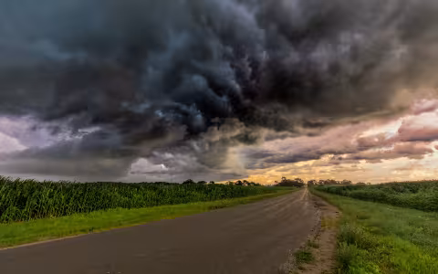 An empty road in between two corn fields, with dark clouds in the sky.