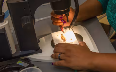 A pair of hands can be seen holding a slide topped with tiny materials as it glows beneath an orb of light coming from a microscope.