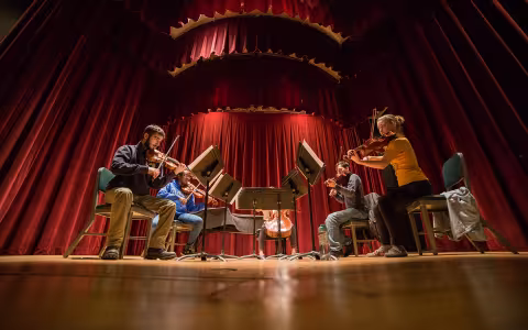 five string musicians play in a semicircle in front of music stands