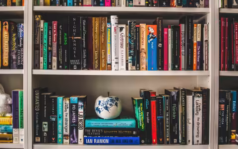 a photo of a bookshelf