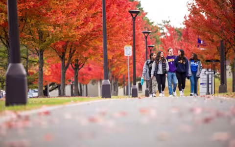 Students walking on campus in a fall scene with leaves on the ground