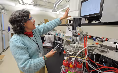 Professor of Nanoscale Engineering Susan Sharfstein showcases a bio reactor in her lab at UAlbany. (Photo by Lori Van Buren/Times Union, used by permission) 