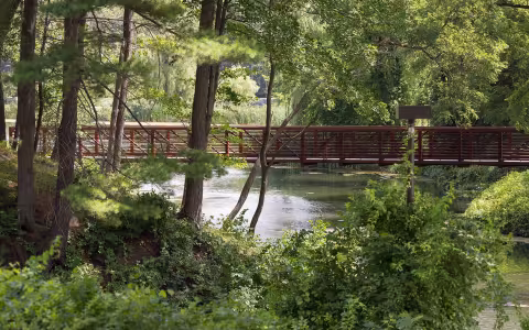 Indian Pond Greenery