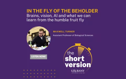 In the Fly of the Beholder podcast