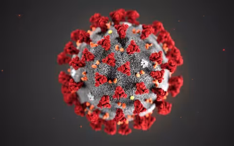 Imagine of virus under microscope