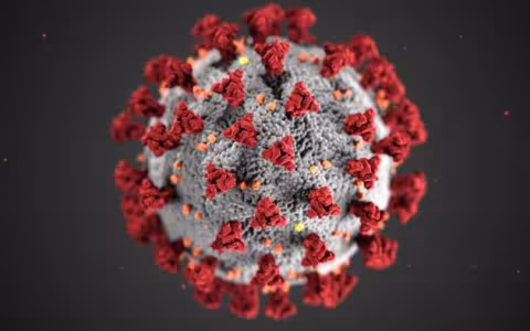 A digital image of COVID-19 on a black background. The COVID-19 looks like a grey sphere with red triangles attached to it.