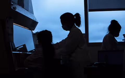 RNA scientists analyzing saliva samples as part of the pooled surveillance testing program. Photo by Patrick Dodson. 