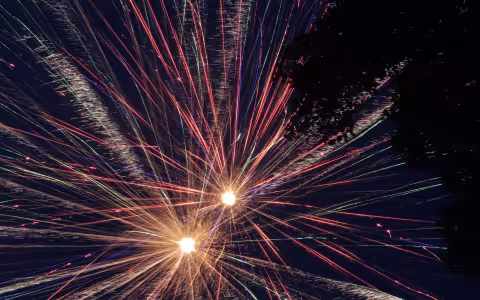 Fireworks in a night sky
