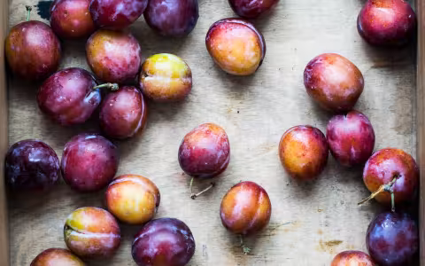 Many plums lay sprawled on a grey surface.