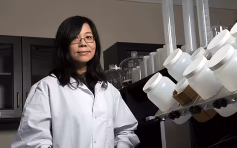 Professor Yanna Liang