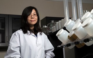 Professor Yanna Liang