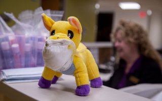 Great Dane wearing a mask