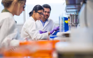 Bijan Dey, at right, works pre-2020 in his lab with an RNA researcher and, at left, a student.