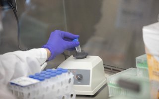 A technician at the RNA Institute analyzes a test tube with saliva in it.
