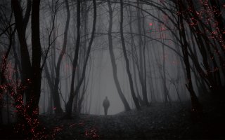 A figure in shadow walks down a woodland path in the fog