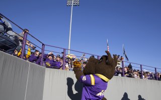 The Great Dane mascot looks up and applauds a sea of fans in the stands above him