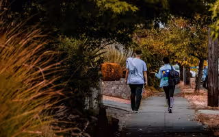Two people walk on a sidewalk under a canopy of trees